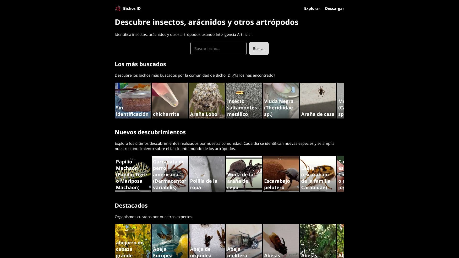 Screenshot von Bichos ID de Fucesa