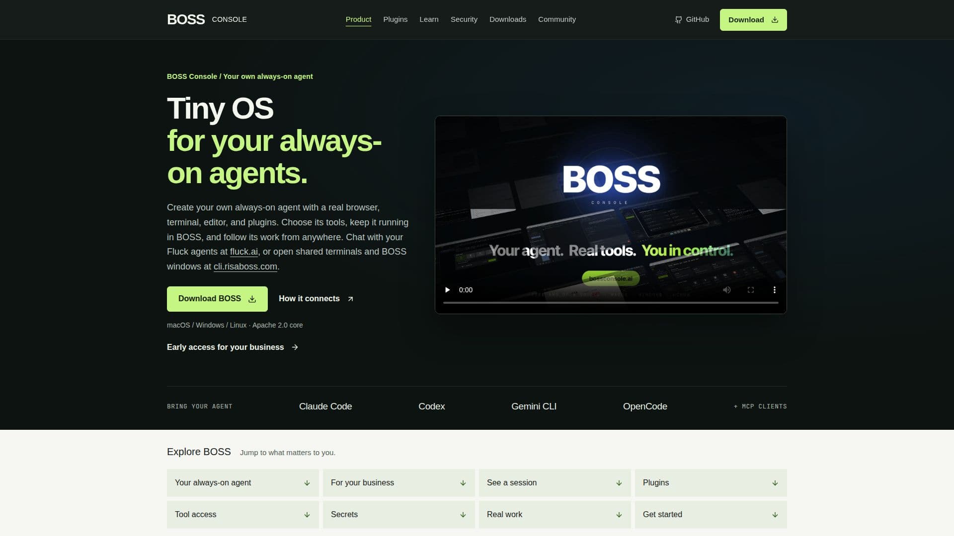 لقطة شاشة لـ BOSS Console