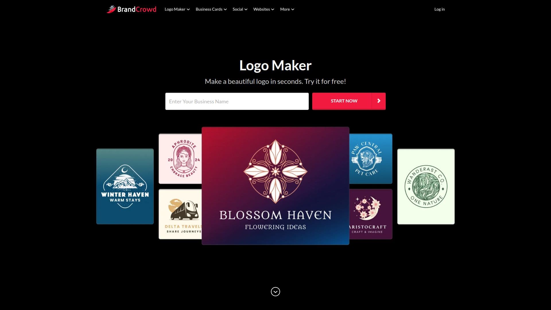 Capture d’écran de Créateur de Logo | BrandCrowd