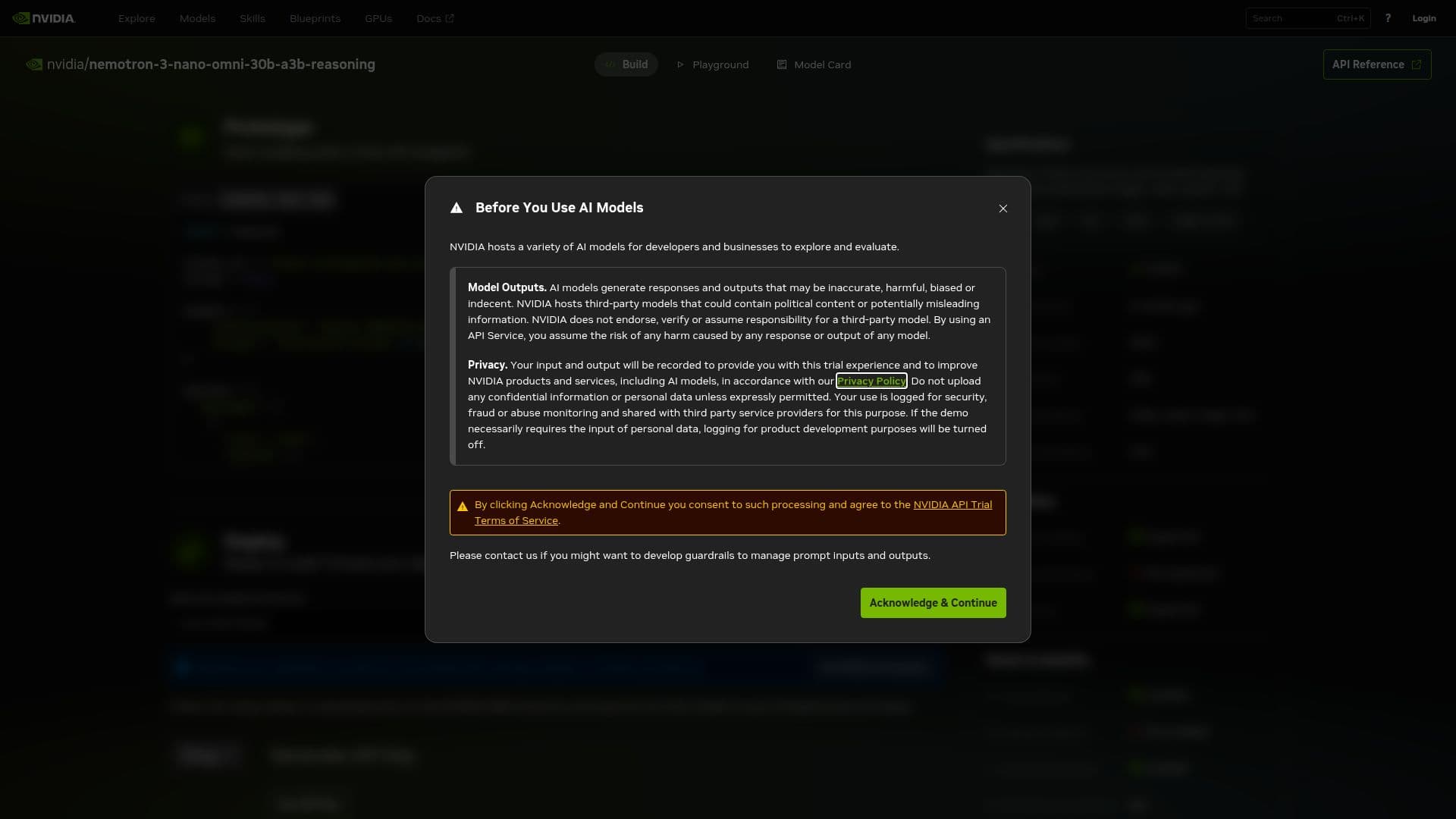 Screenshot von Nemotron 3 Nano Omni