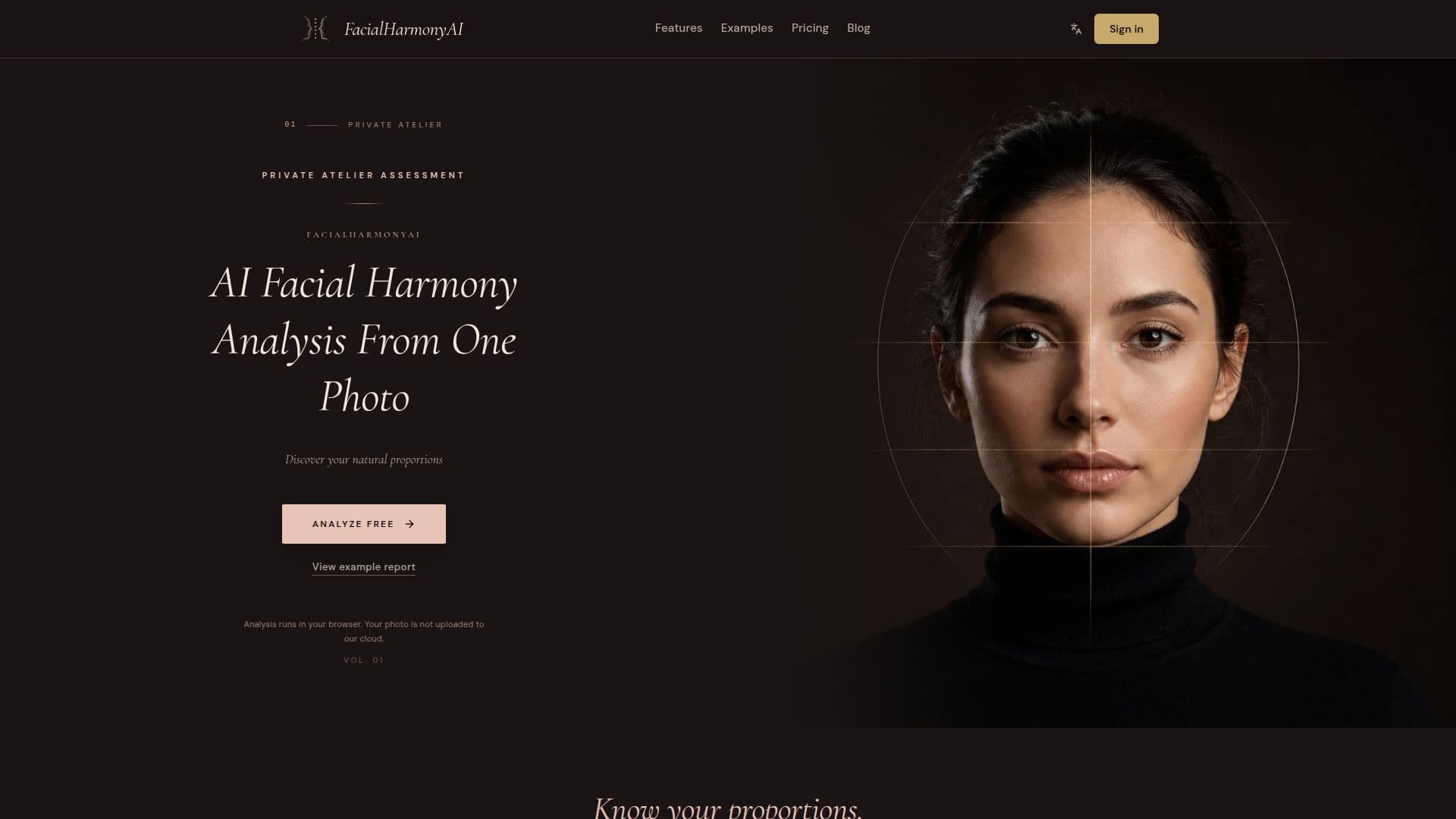Скриншот FacialHarmonyAI