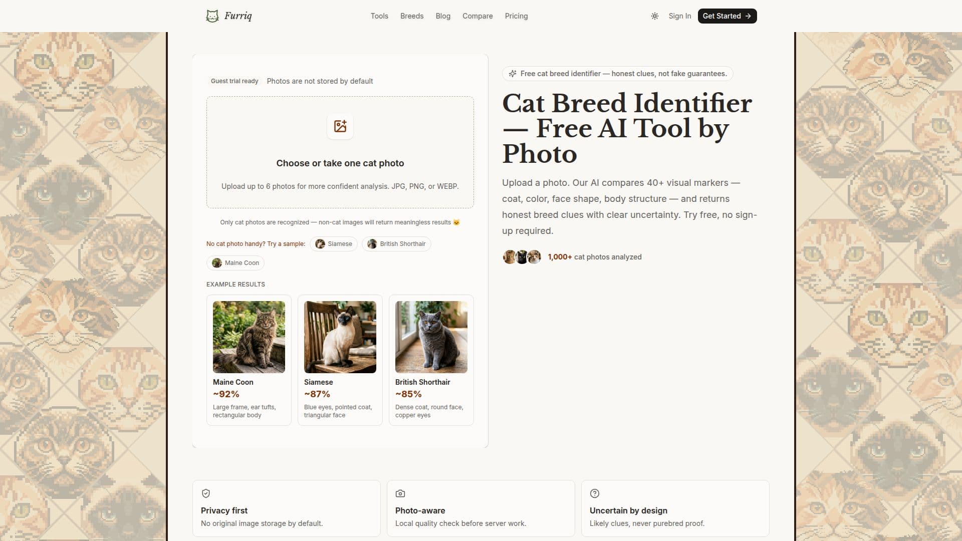 Furriq — AI-Powered Cat Breed Identifier 스크린샷