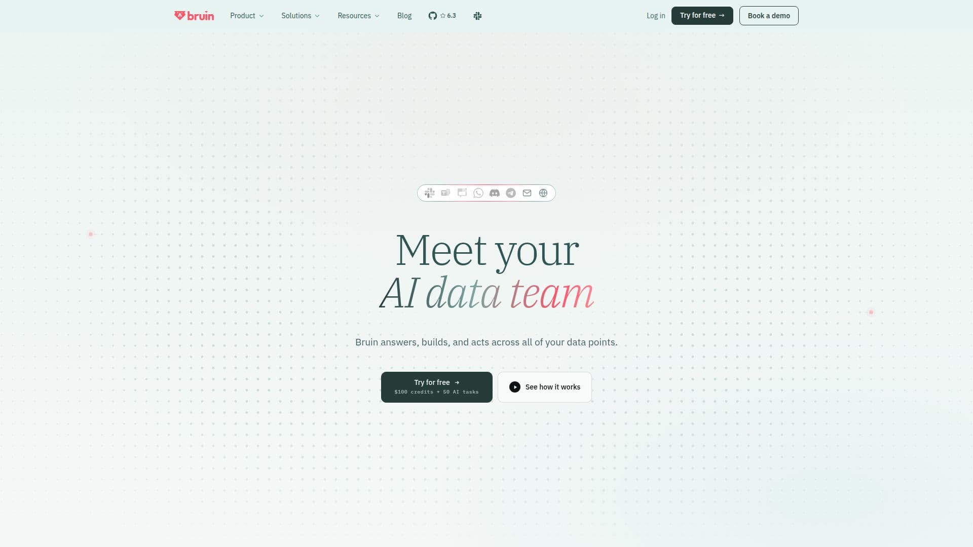 Bruin AI Datenplattform screenshot