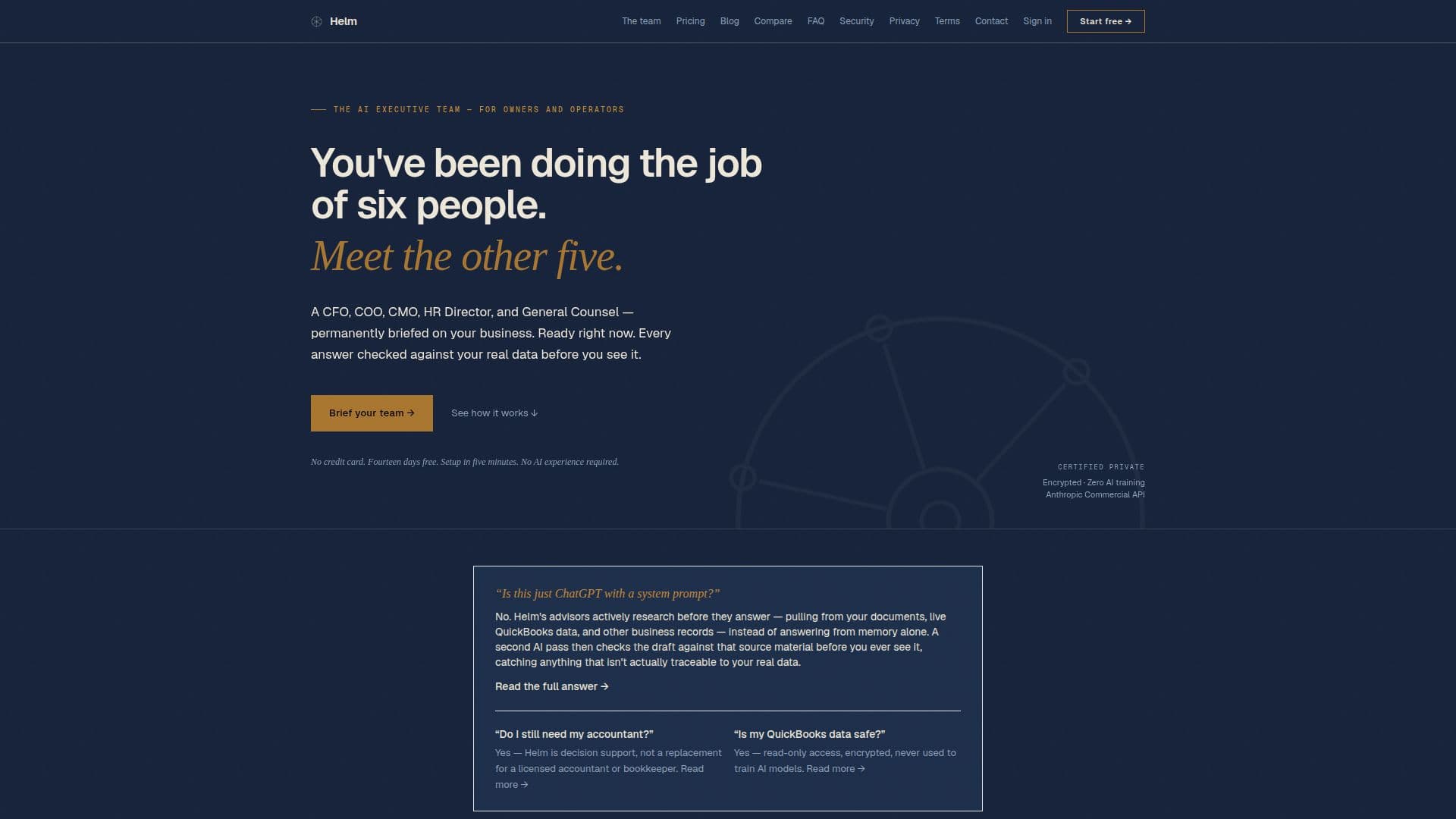 Helm AI Executive Team screenshot
