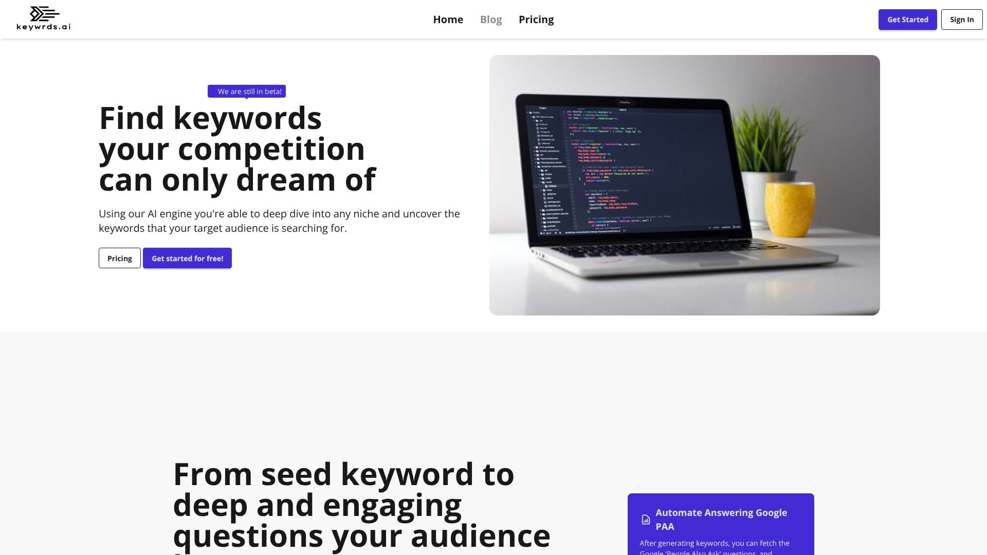 Capture d’écran de Keywrds.ai