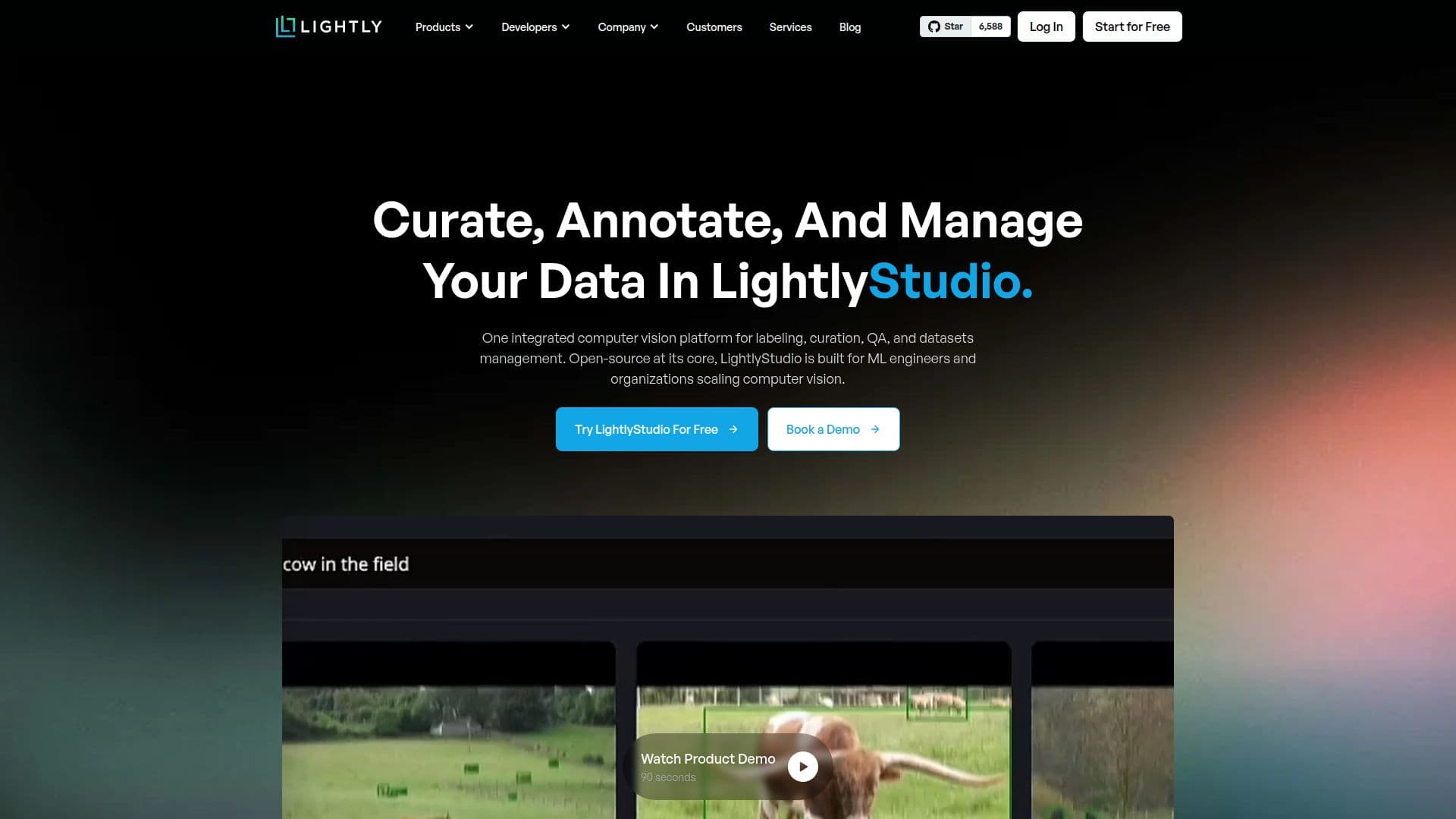 Screenshot von LightlyStudio