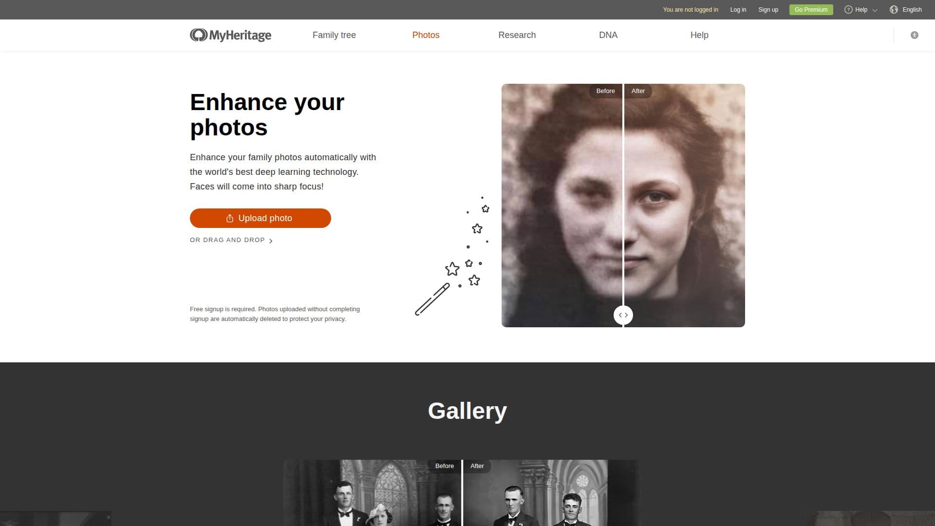 لقطة شاشة لـ محسن الصور من MyHeritage