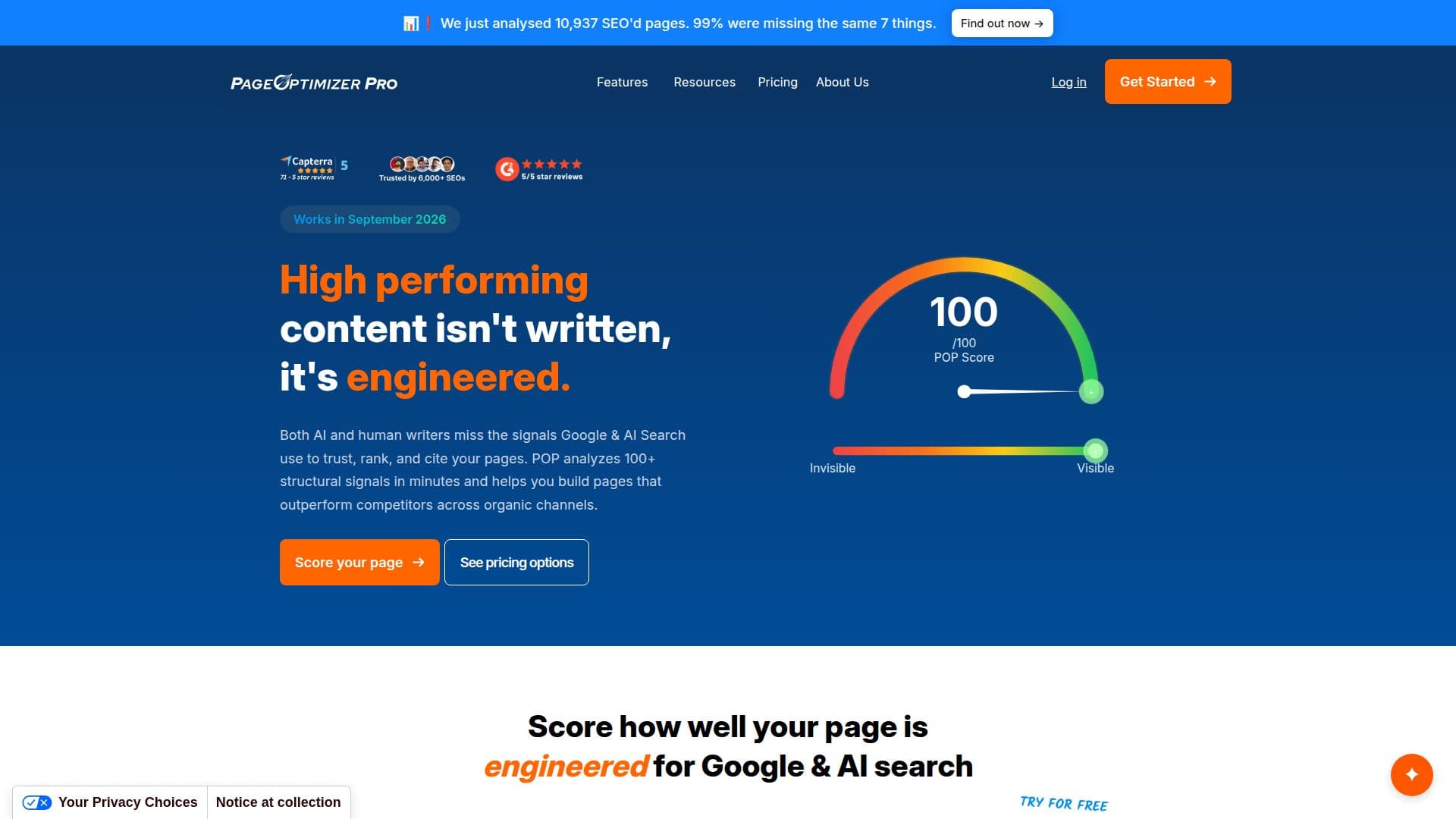 PageOptimizer Pro screenshot