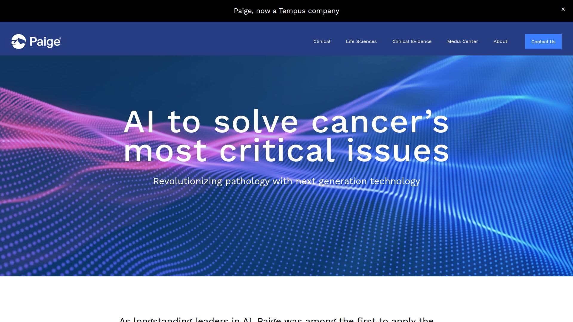 Paige.ai screenshot