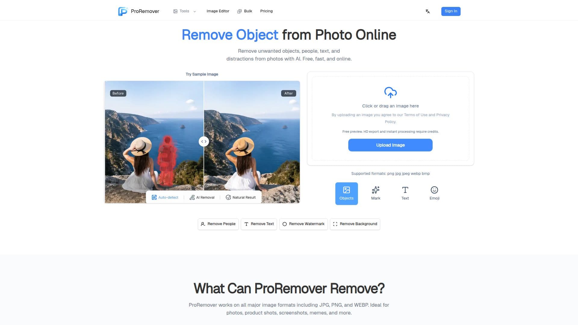 ProRemover screenshot