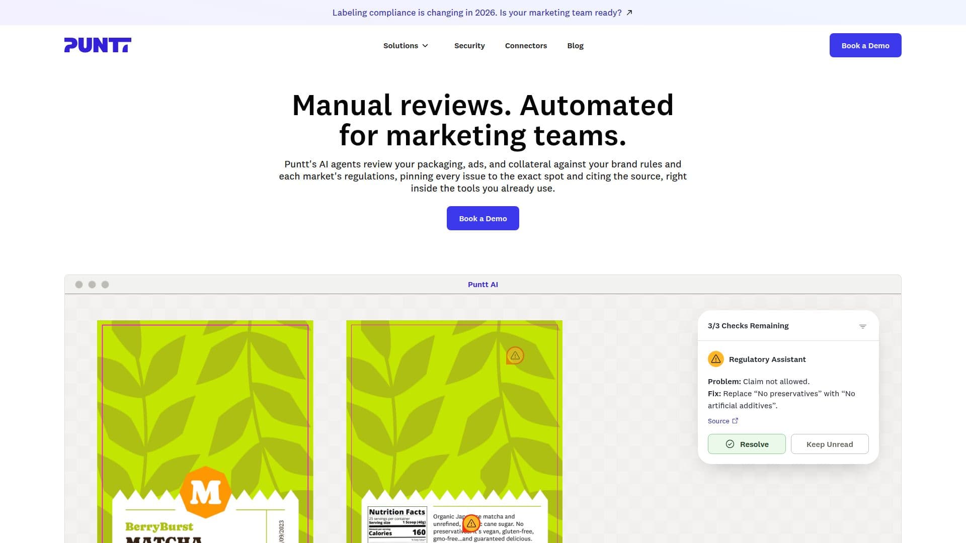 PunttAI screenshot