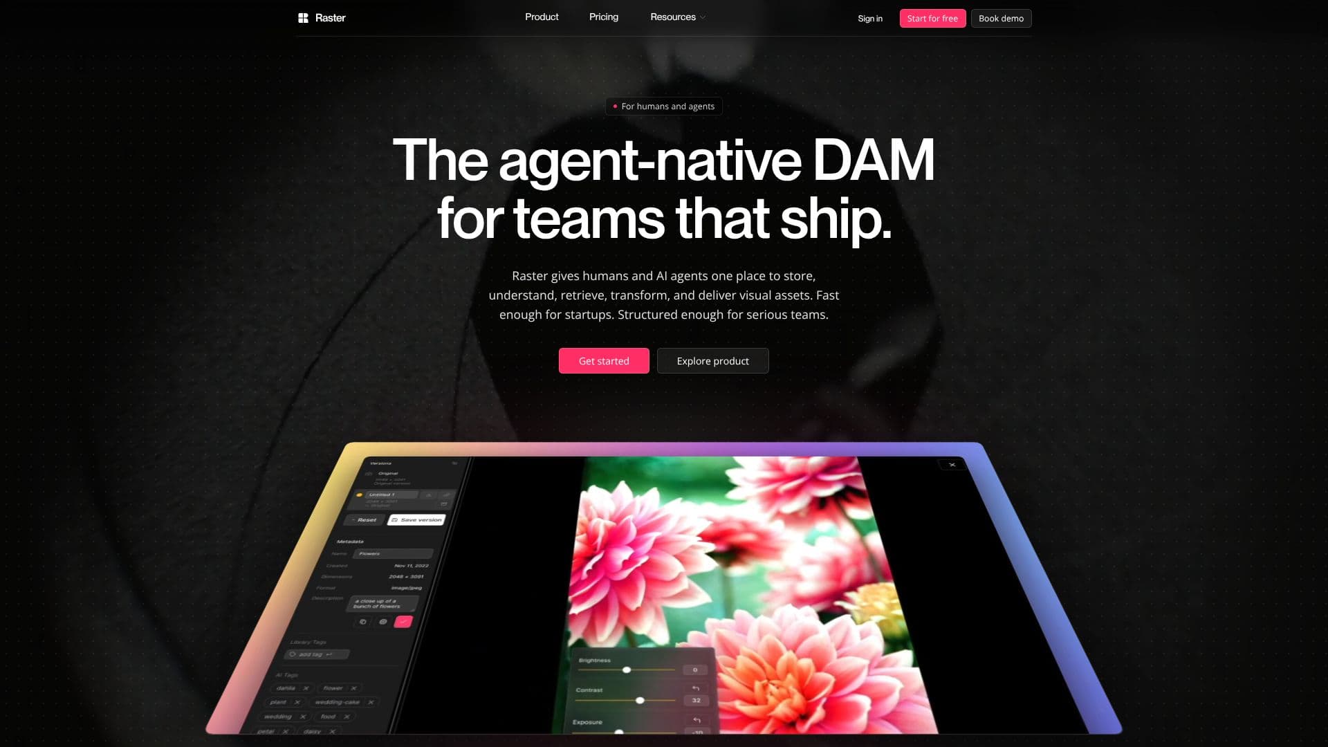 Raster DAM screenshot