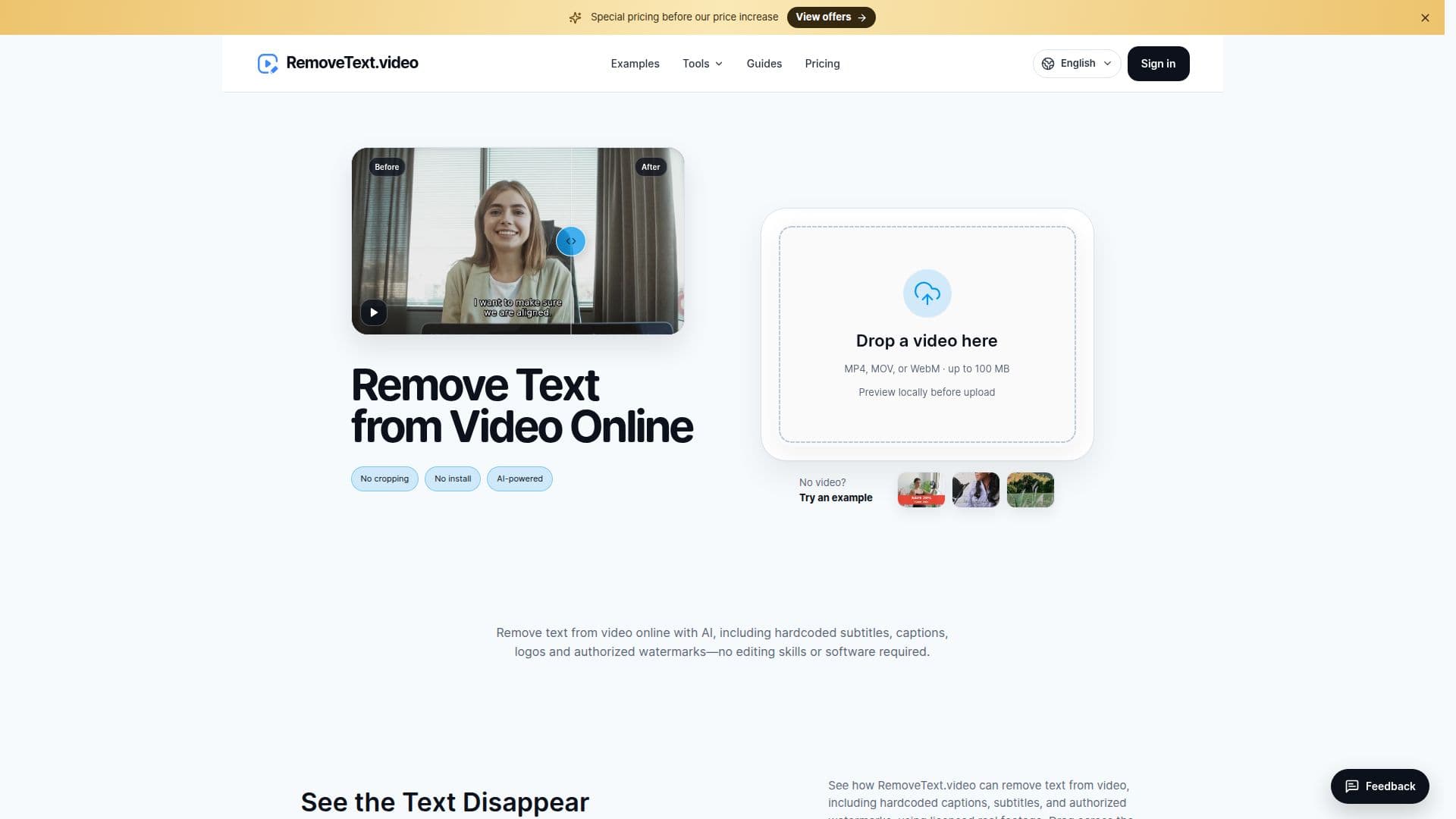 RemoveText.video 截图