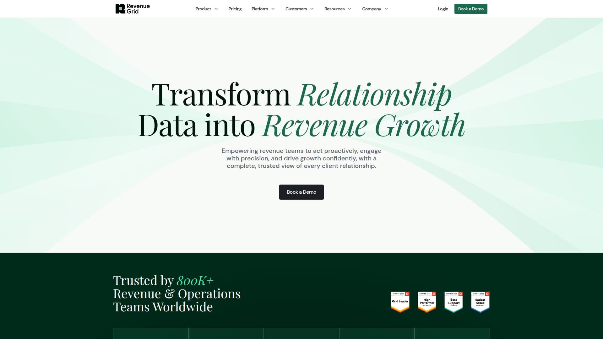 Revenue Grid screenshot