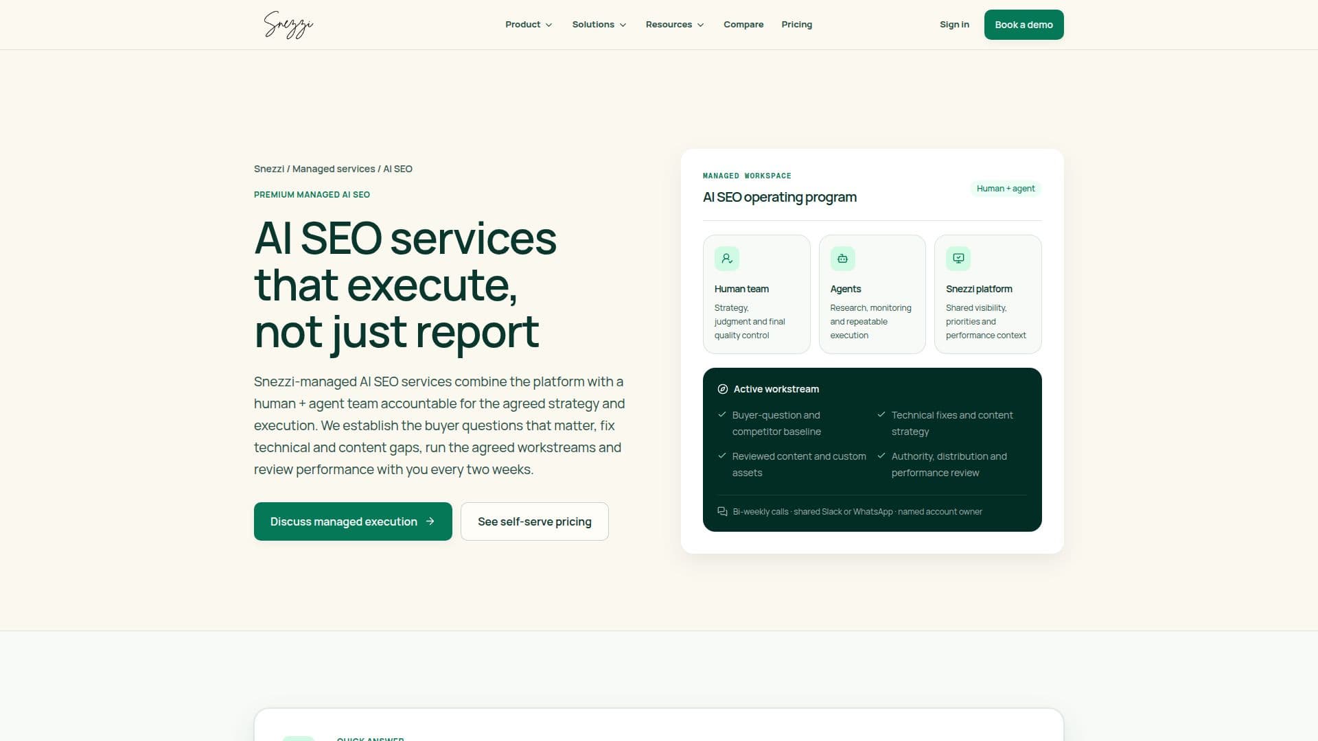Serviços de SEO da Snezzi AI screenshot