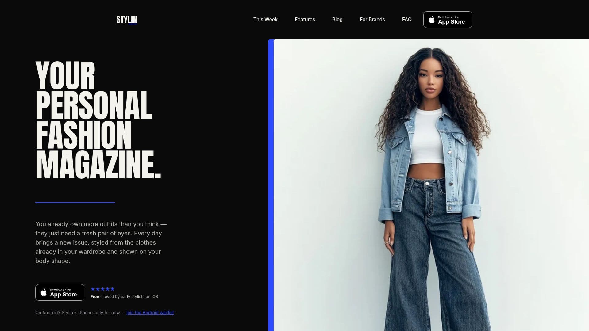 Stylin AI 개인 스타일리스트 screenshot