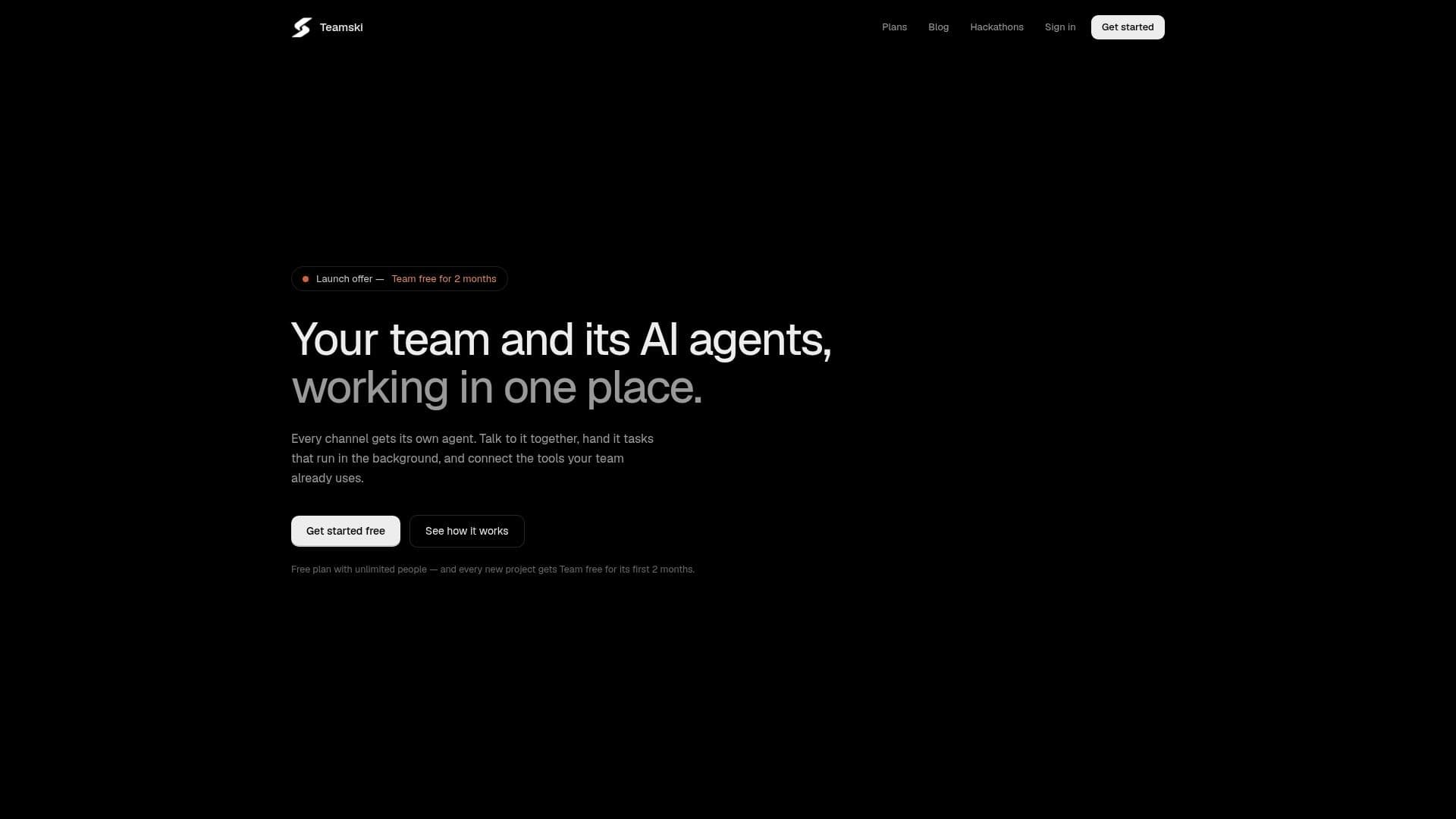 Teamski screenshot