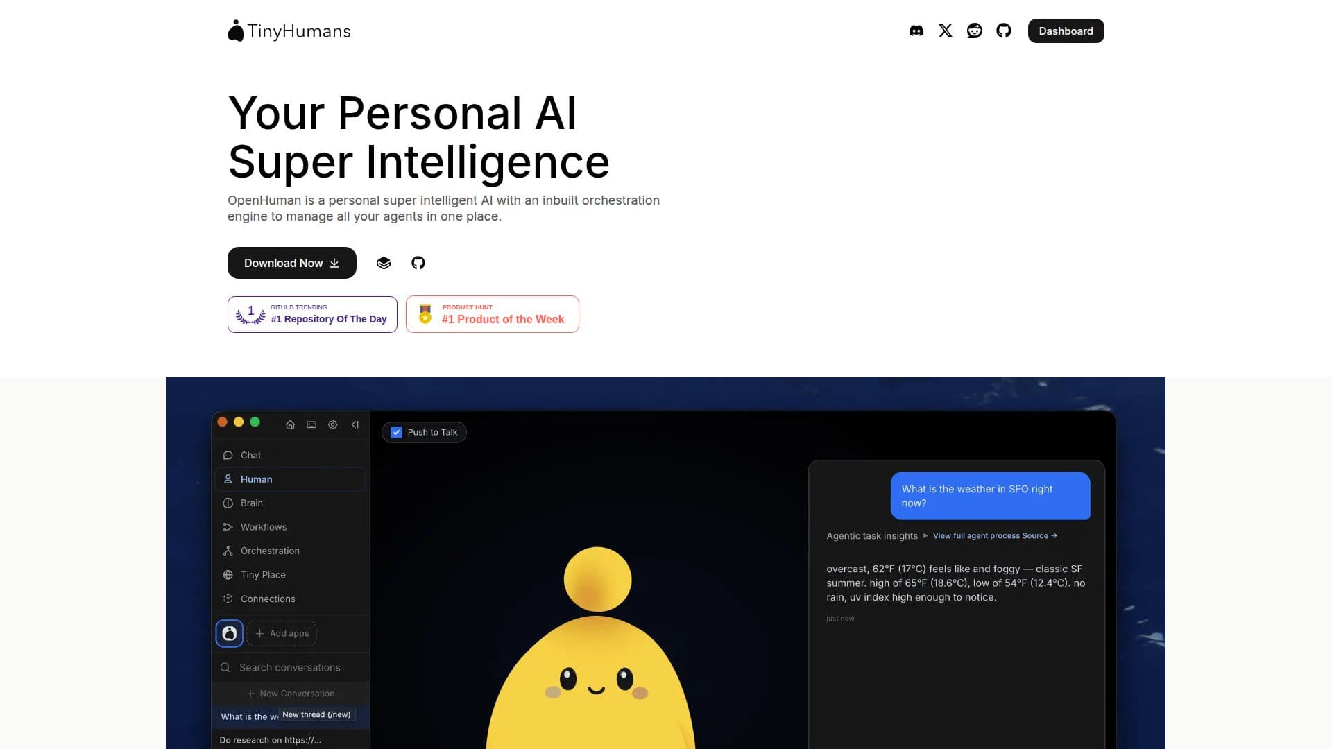 OpenHuman screenshot