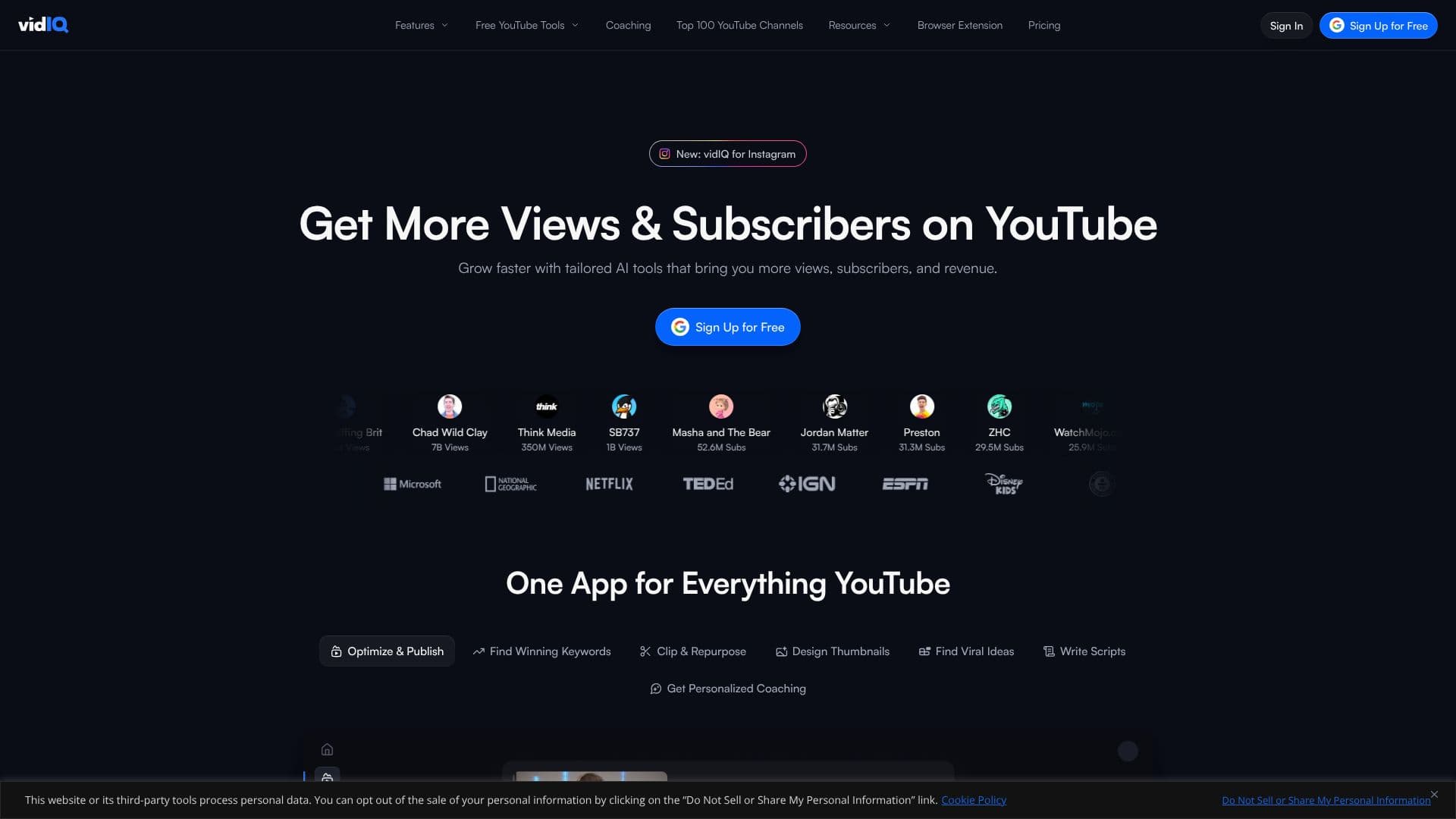 vidIQ YouTube 도구 스크린샷