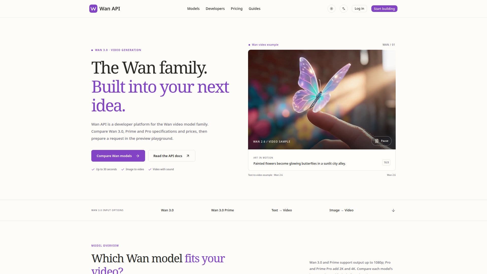 Wan API screenshot