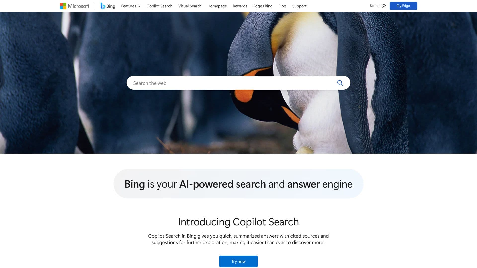 Microsoft Bing screenshot