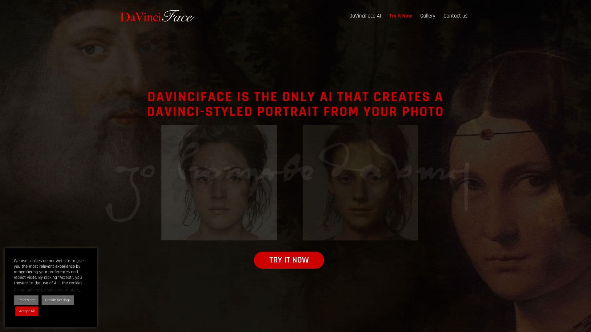 DaVinciFace Project のスクリーンショット