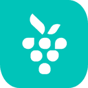 Berrycast Video Recorder logo