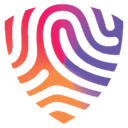 BigID logo