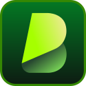Traductor de Vídeo IA BlipCut logo