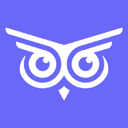 Brandwise AI Agent logo