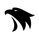 ChatHawk logo