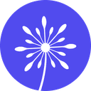 CUFinder | B2B营销智能 logo
