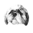 DoGBench logo
