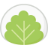 Mochi - Spaced Repetition Flashcards logo