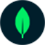 Поиск векторов MongoDB logo