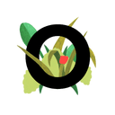 Outerbounds logo
