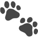 Pet Lens AI logo
