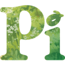 Pi, die KI logo