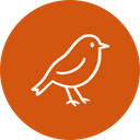 Robynn AI logo