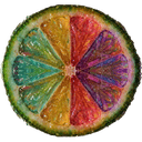 AISA logo