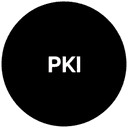 PainkillerIdeas logo
