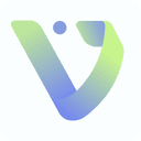 Voiset logo