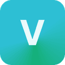 Village.ai logo