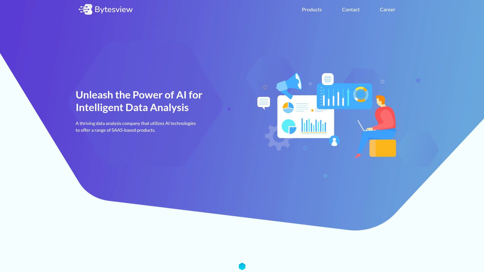 BytesView Analytics screenshot
