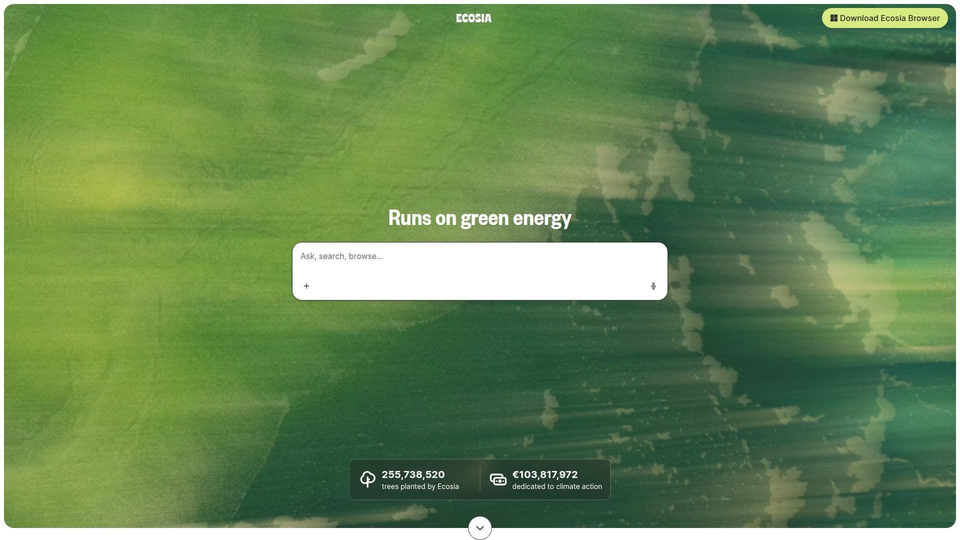 Ecosia - Suchmaschine für Baumpflanzungen screenshot
