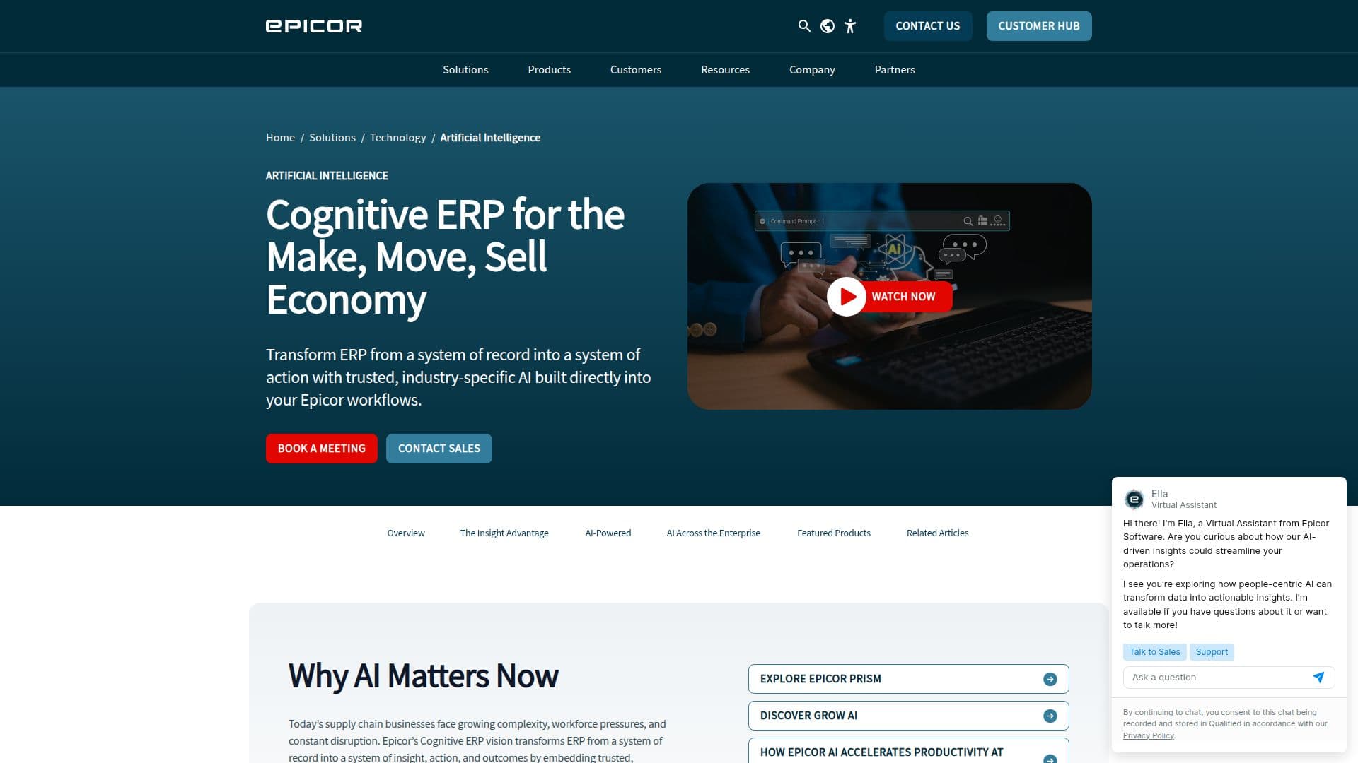 Epicor Prophet 21 KI-Lösungen screenshot
