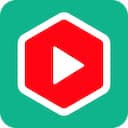 YouTube Summary with ChatGPT & Claude logo