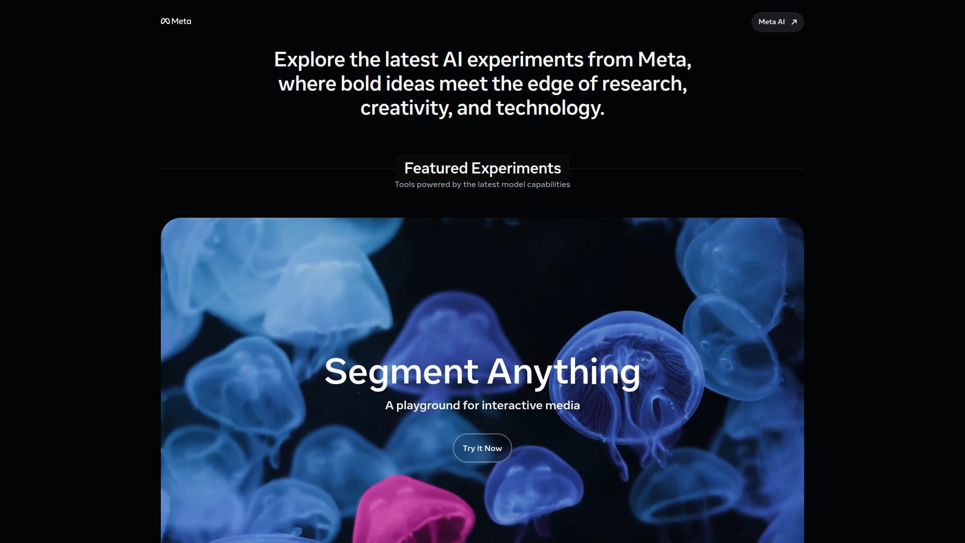 Скриншот Meta AI Demos