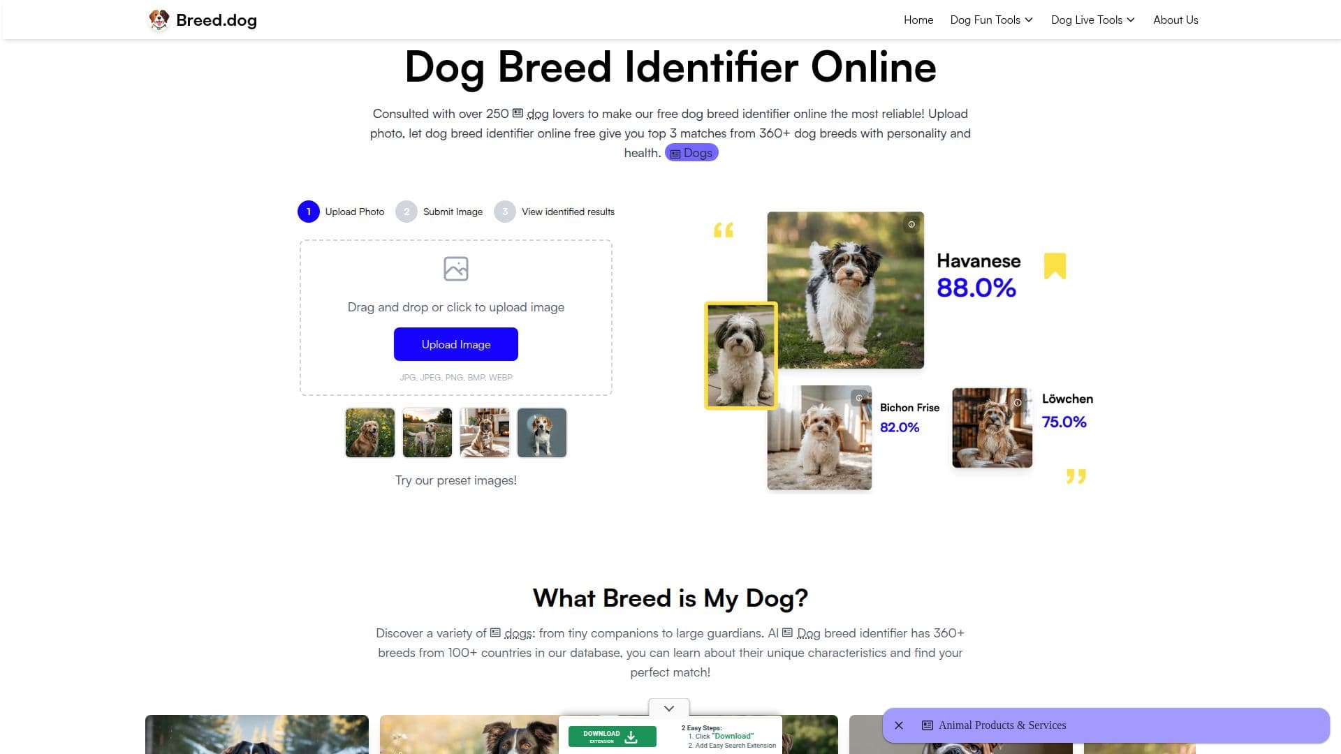 Screenshot von Breed.Dog