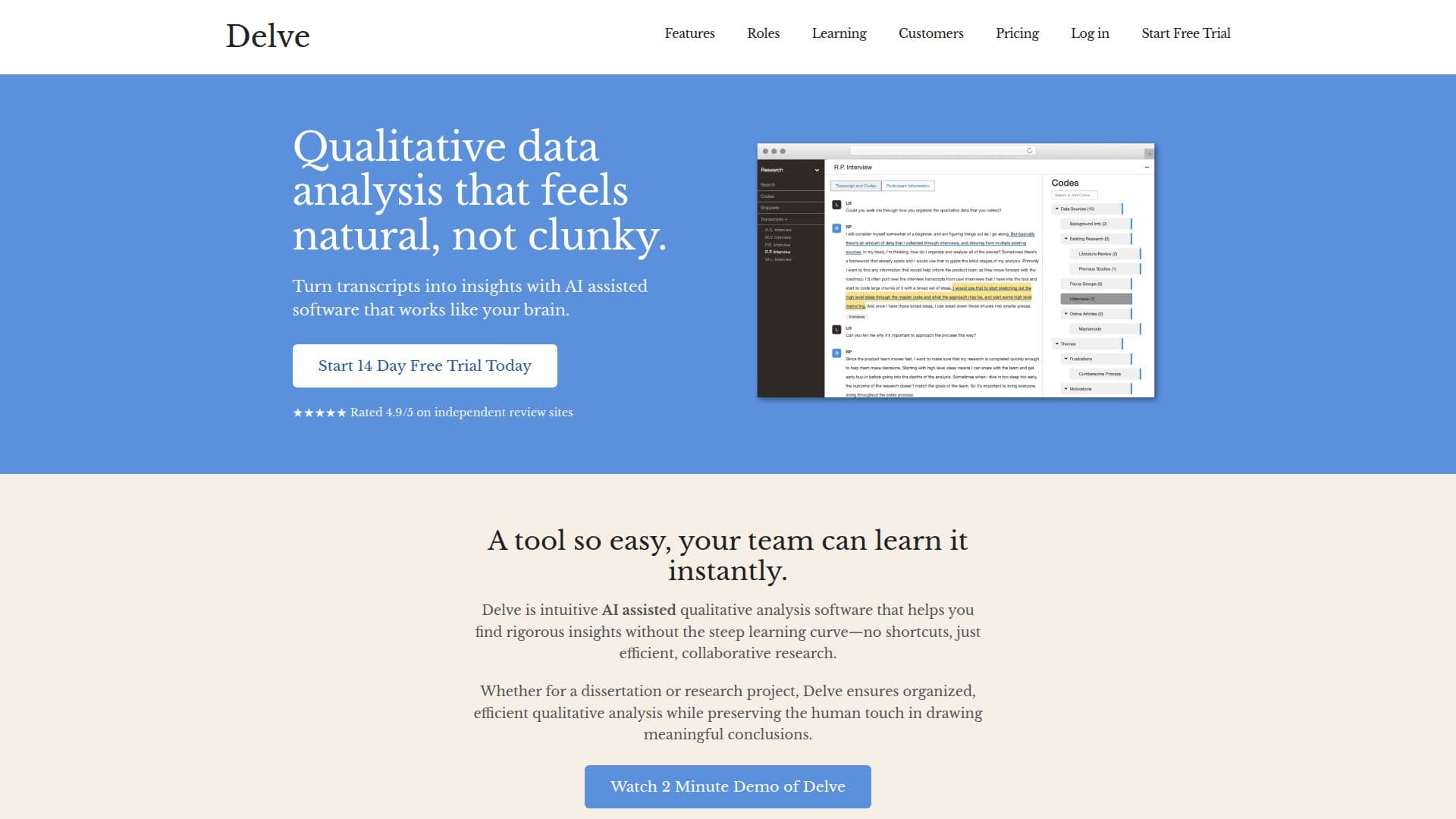 Delve Qualitative Datenanalyse screenshot